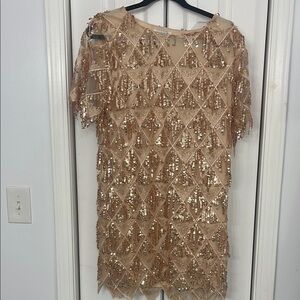 Sequin Fringe Dress